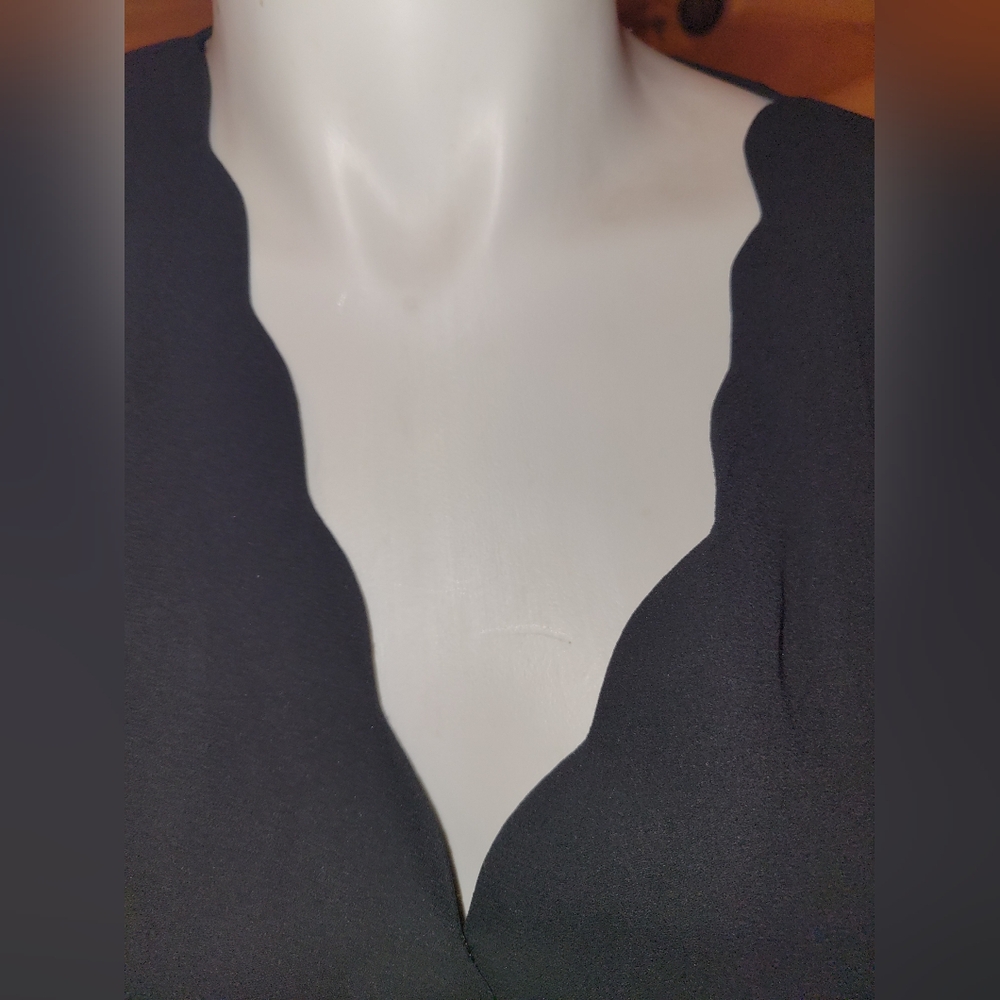 💰⏳️Nine Britton Scalloped V neck Sheer Blouse NWT MED - Picture 3 of 9